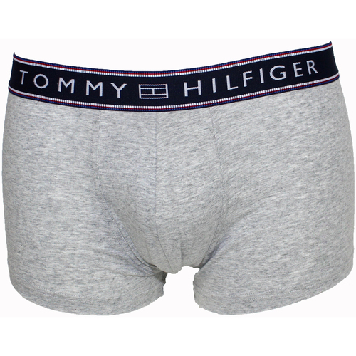 Sous-vêtements Boxers Briefs Tommy Hilfiger BOXER GRIS TRUNK BASIC STRIPE  - Gris