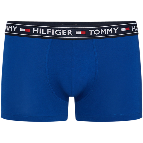 Sous-vêtements Boxers Tommy Prep Hilfiger BOXER AUTHENTIC BLEU M00515 - Bleu