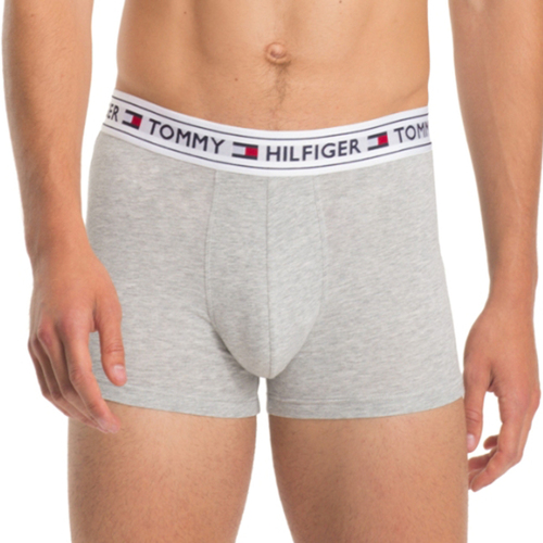 Sous-vêtements Boxers Tommy Prep Hilfiger BOXER AUTHENTIC GRIS M00515 - Gris
