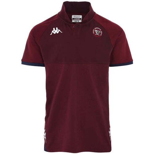 Vêtements Homme T-shirts & Polos Kappa Polo Angat 6 UBB Rugby 22/23 Violet