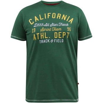 Vêtements Homme T-shirts manches courtes Duke T-shirt coton col rond droite Vert