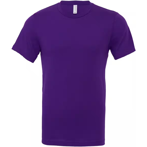 Vêtements T-shirts manches longues Bella + Canvas CV3001 Violet