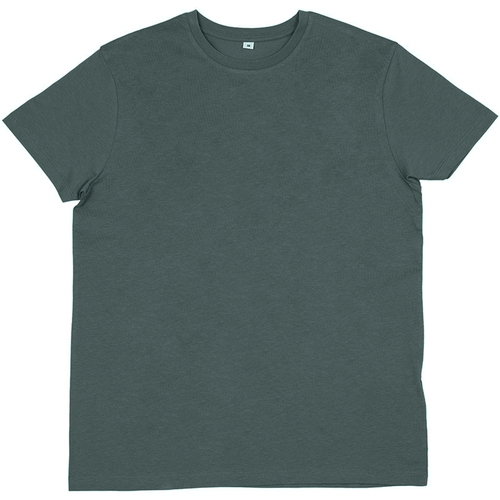 Vêtements Homme T-shirts manches longues Mantis Essential Vert