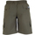 Vêtements Homme Shorts / Bermudas Duke Short uni régular Kaki