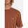 Vêtements Homme T-shirts manches courtes Volcom Camiseta  Stone Blanks Mocha Bronw