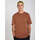 Vêtements Homme T-shirts manches courtes Volcom Camiseta  Stone Blanks Mocha Bronw