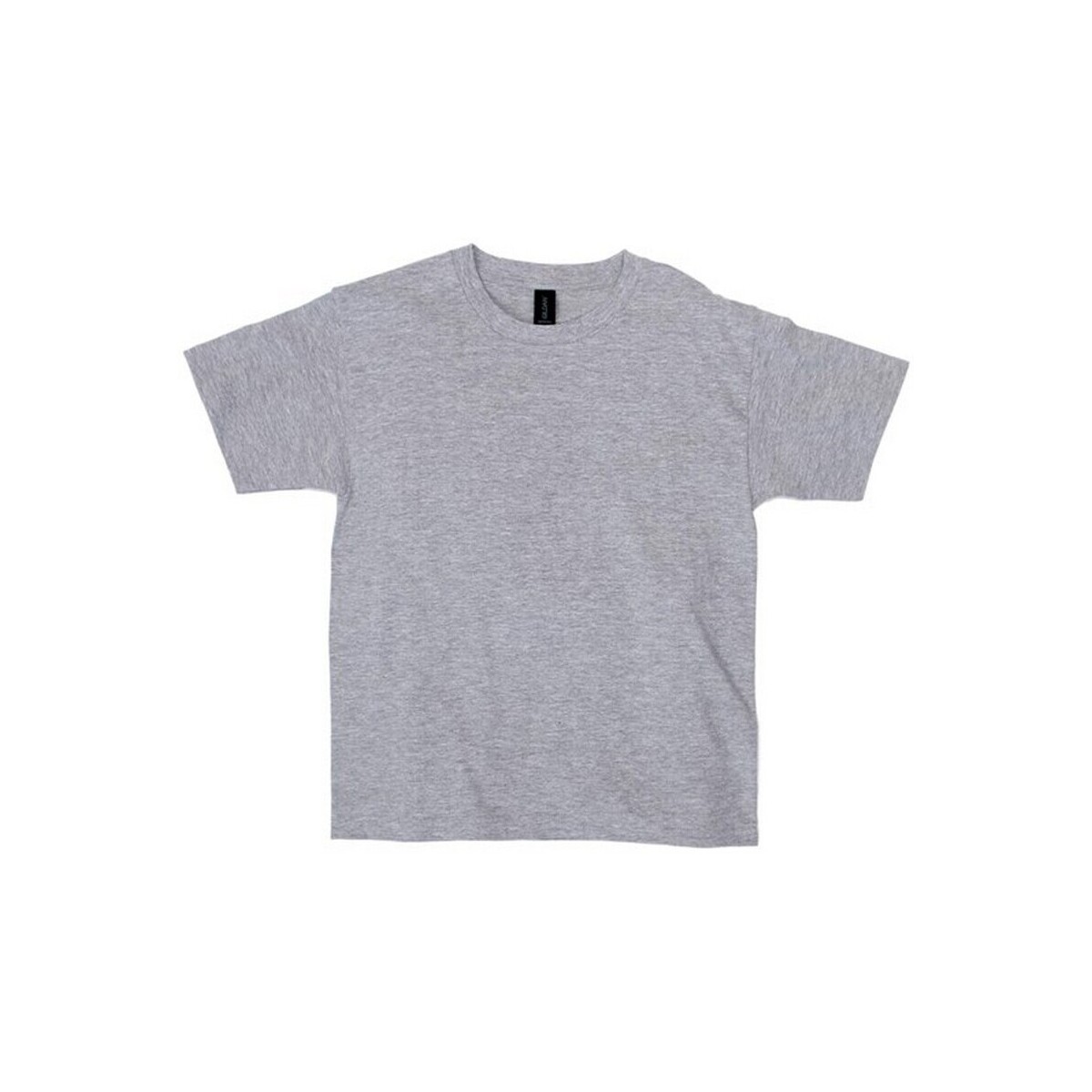Vêtements Enfant T-shirts manches longues Gildan Softstyle Gris