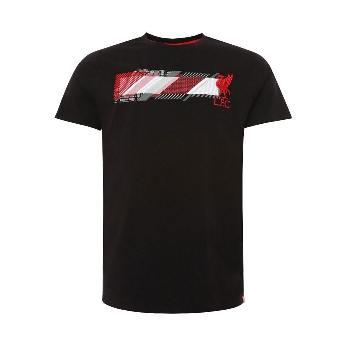 Vêtements Homme T-shirts manches longues Liverpool Fc TA10523 Noir