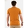 Vêtements Homme T-shirts manches courtes Superdry m1011478a Orange