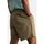 Vêtements Homme Shorts / Bermudas Dickies 0a4xb2 Beige