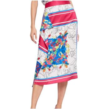 Vêtements Femme Jupes Gaudi  Multicolore