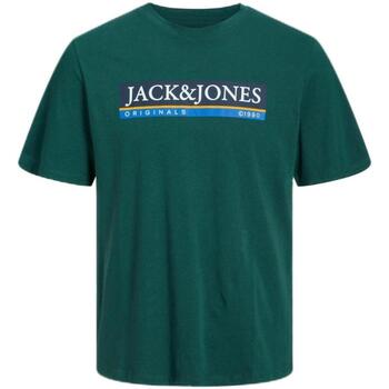 Vêtements Garçon T-shirts manches courtes Jack & Jones  Vert