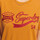 Vêtements Femme T-shirts & Polos Superdry W1010793A Orange