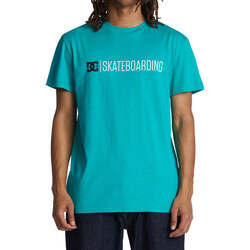 Vêtements Homme T-shirts manches courtes DC Shoes Dc Camiseta Minimal Columbia Vert
