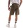 Vêtements Homme Shorts / Bermudas Tommy Hilfiger MW0MW31245 Vert