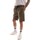 Vêtements Homme Shorts / Bermudas Tommy Hilfiger MW0MW31245 Vert
