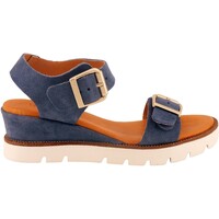 Chaussures Femme Sandales et Nu-pieds Coco & Abricot V2457A-GAETAN Bleu