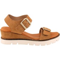Chaussures Femme Sandales et Nu-pieds Coco & Abricot V2457A-GAETAN Marron
