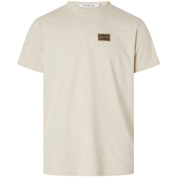 Vêtements Homme T-shirts & Polos Calvin Klein Jeans T shirt Calvin Klein Ref 59554 ACI Multi Beige