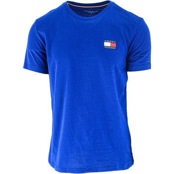 Vêtements Homme Débardeurs / T-shirts sans manche Tommy Hilfiger Tommy 85 Logo Relaxed Fit Bleu