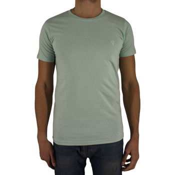 Vêtements Homme T-shirts manches courtes Billtornade Print Gris, Vert