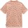 Vêtements Femme T-shirts manches courtes Vans Fruit Checkerboard Orange