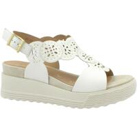Chaussures Femme Sandales et Nu-pieds Stonefly STO-E23-219128-CW Blanc