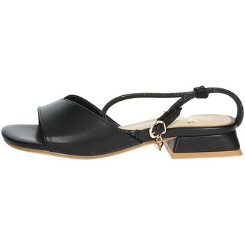 Chaussures Femme Sandales et Nu-pieds Braccialini F97 Noir