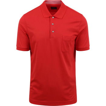 t-shirt olymp  polo rouge 