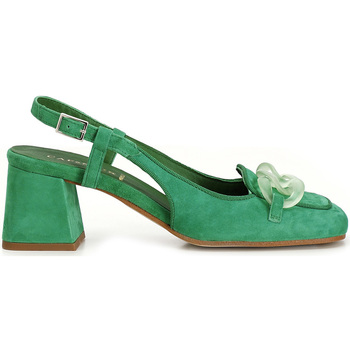 Chaussures Femme Sandales et Nu-pieds Café Noir C1EL5050 Vert