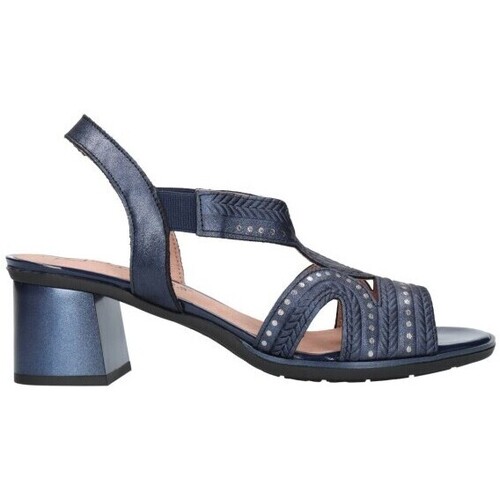 Chaussures Femme Sandales et Nu-pieds Pitillos 5170 Mujer Azul marino Bleu