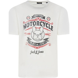Vêtements Homme T-shirts manches courtes Premium By Jack & Jones 145111VTPE23 Blanc