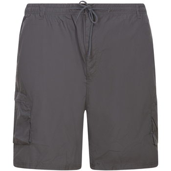 Vêtements Homme Shorts / Bermudas Duke Short cargo Gris