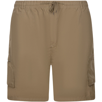 Vêtements Homme Shorts / Bermudas Duke Short cargo Beige