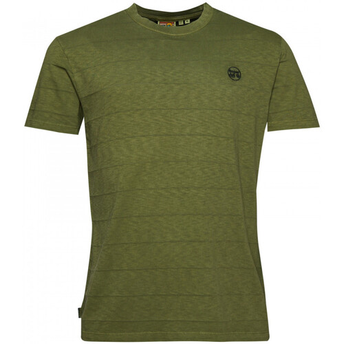 Vêtements Homme T-shirts SLEE & Polos Superdry Vintage texture Vert