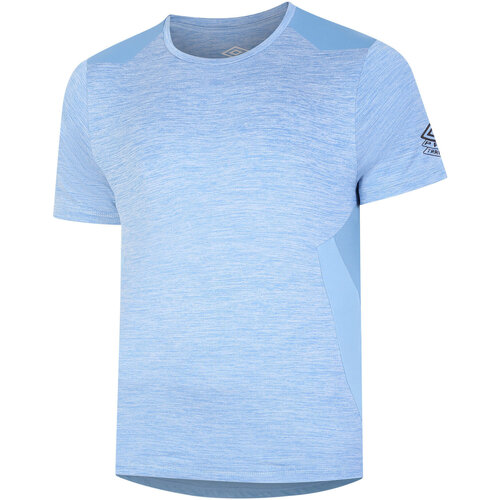 Vêtements Homme T-shirts manches longues Umbro Pro Training Bleu