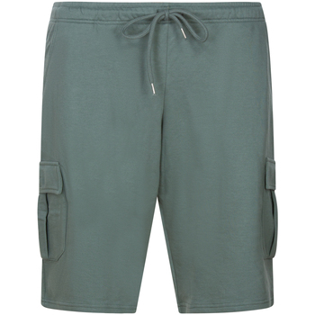 Vêtements Homme Shorts / Bermudas Redfield Short coton mélangé Vert