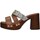Chaussures Femme Sandales et Nu-pieds Gattinoni PEGFA6290WH Marron