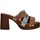 Chaussures Femme Sandales et Nu-pieds Gattinoni PEGFA6290WH Marron