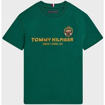 Vêtements Garçon T-shirts & Polos Tommy Hilfiger KB0KB08029-L40 PREO GREEN Vert