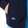 Vêtements Homme Sweats Lacoste Bigi logo croco Bleu
