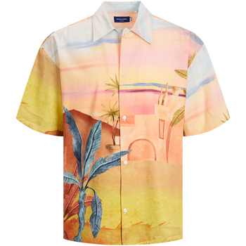 Vêtements Homme Chemises manches longues Jack & Jones Chemise coton regular fit Multicolore