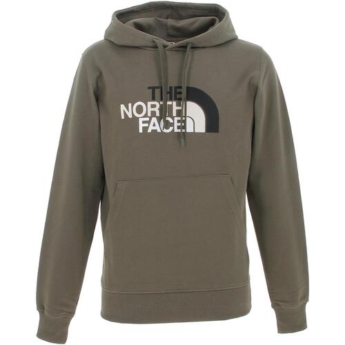 Vêtements Homme Sweats The North Face M light drew peak pullover hoodie-eu Kaki