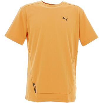 Vêtements Homme T-shirts manches courtes Puma Fd rad/cal tee Beige