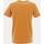 Vêtements Homme T-shirts manches courtes Superdry Vintage vl neon tee sudan brown Marron