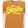 Vêtements Homme T-shirts manches courtes Superdry Vintage vl neon tee sudan brown Marron