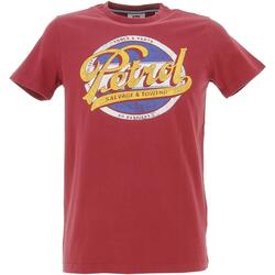 Vêtements Garçon T-shirts manches courtes Petrol Industries Boys t-shirt ss classic print Marron