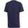 Vêtements Homme T-shirts & Polos adidas Originals Tan Tape Tee Bleu