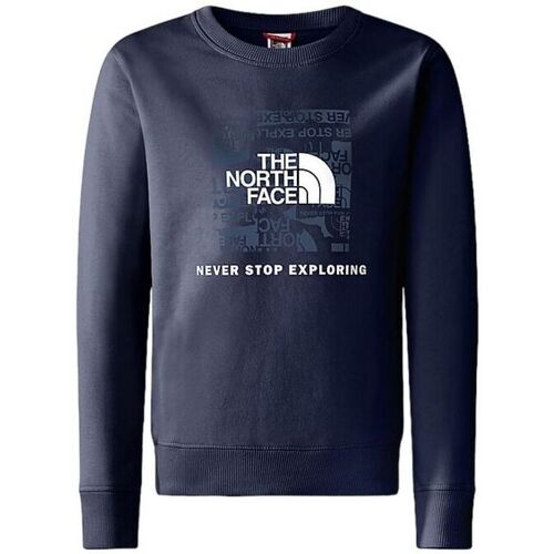 Vêtements Enfant Sweats The North Face Teen New Graphic Hoodie Bleu