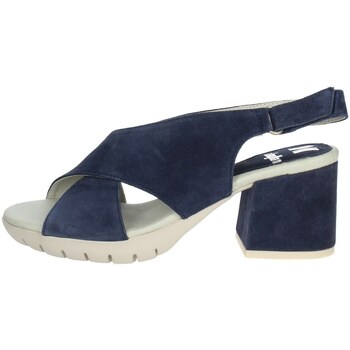 Chaussures Femme Pulls & Gilets CallagHan 22813 Bleu